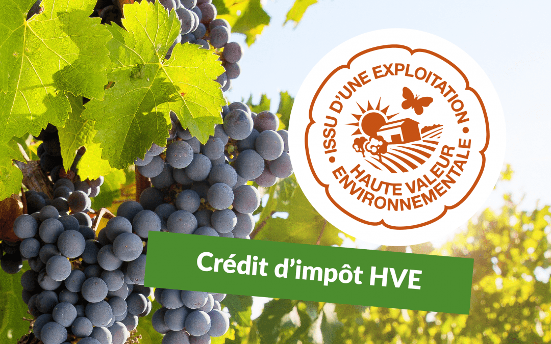 Crédit d’Impôt HVE 2 500 € : l’aide agricole clé pour les exploitations certifiées Haute Valeur Environnementale