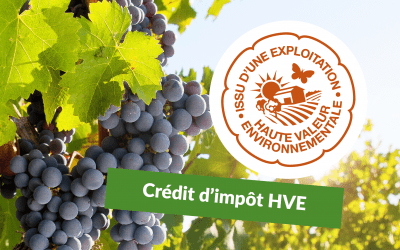 Crédit d’Impôt HVE 2 500 € : l’aide agricole clé pour les exploitations certifiées Haute Valeur Environnementale