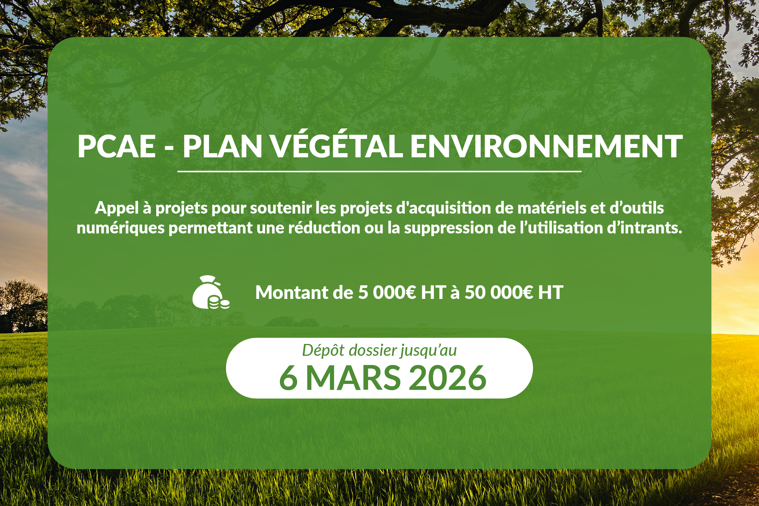 PCAE – Plan Végétal Environnement (PVE) : une aide clé pour vos investissements agroécologiques