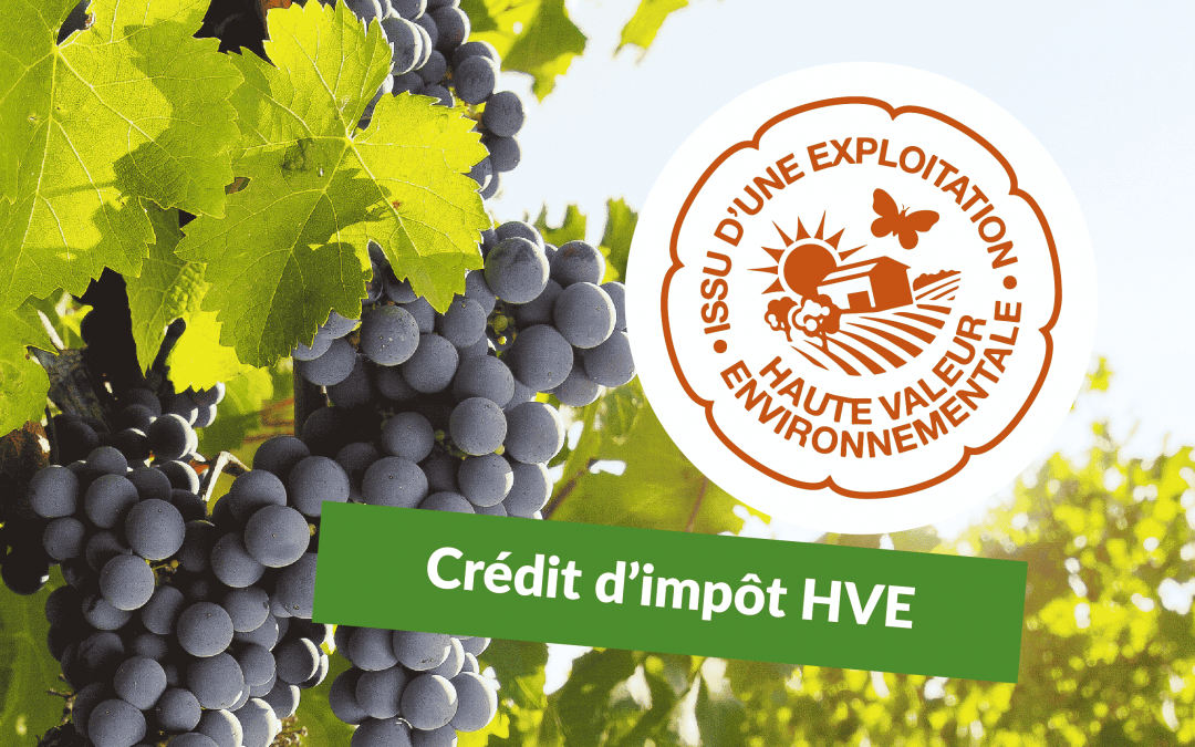 Crédit d’Impôt HVE 2 500 € : l’aide agricole clé pour les exploitations certifiées Haute Valeur Environnementale