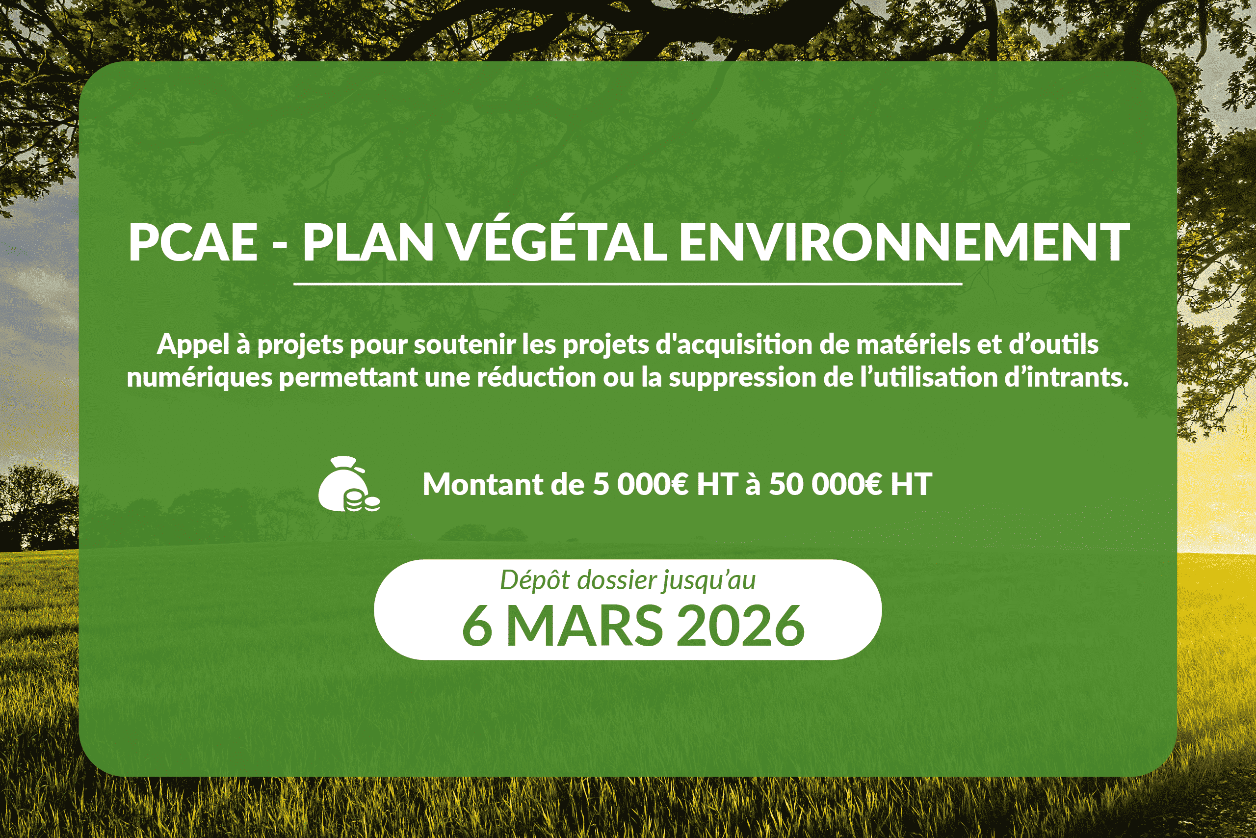 PCAE – Plan Végétal Environnement (PVE) : une aide clé pour vos investissements agroécologiques
